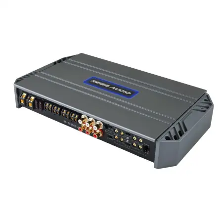 Rs ae1000.4d 1