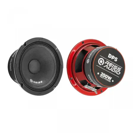RS-DP5_1 Rs dp5 1