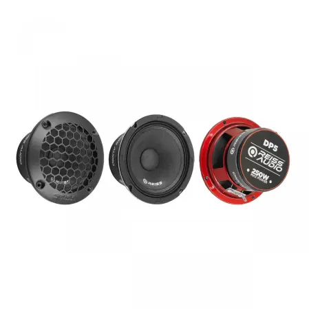 RS-DP5_3 Rs dp5 3