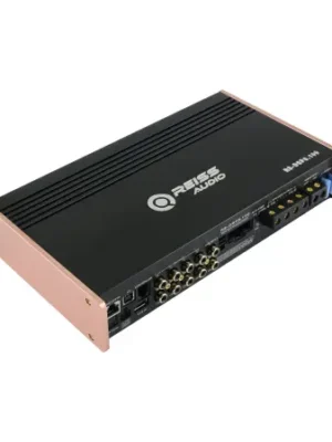 Rs dsp6 100 1
