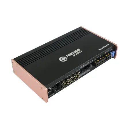 Rs dsp6 100 1