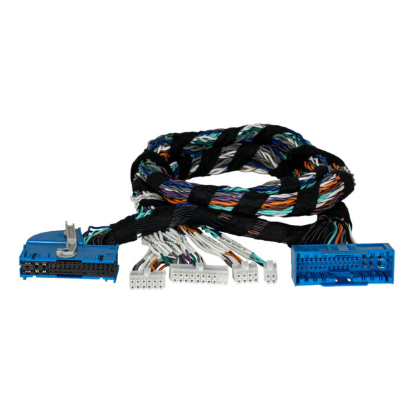 Pp mb 1 9mbux bur 2 16 06 2026.jpg