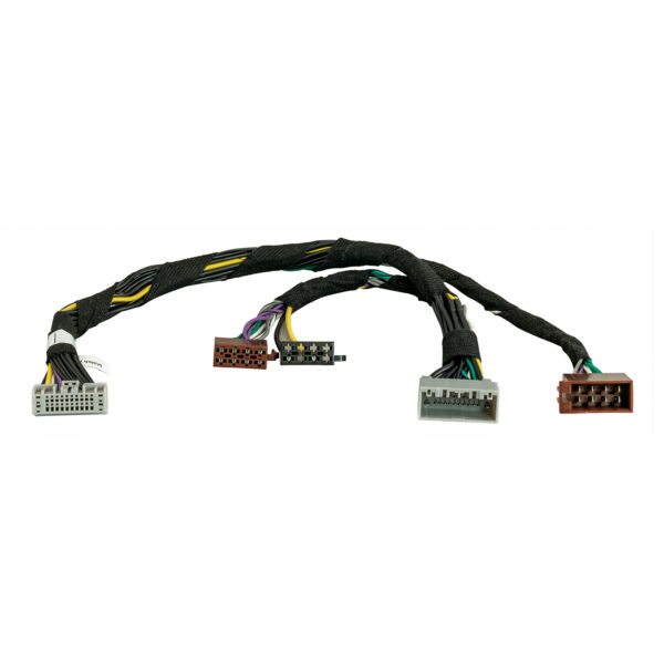 Pp pac 25 1280x1280px 26 08 2022.jpg