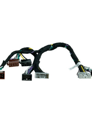 Pp pac 38 1280x1280px 29 08 2022.jpg