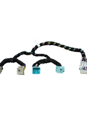 Pp pam 07 14 12 2023.jpg