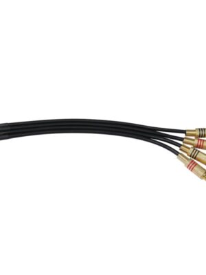 Pp rca.jpg